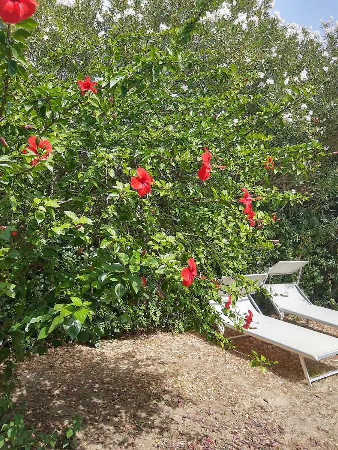 Holiday home -Exclusive Private Villa- Villasimius Italy
